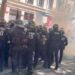 В Париже во время манифестации задержали более 50 человек
