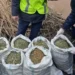3,5 тонны наркотиков изъяли в Казахстане за четыре месяца