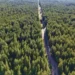 Сотрудники нацпарка в области Абай работали по поддельным дипломам
