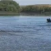 Двое мужчин бросились на помощь парню и погибли вместе с ним в ВКО