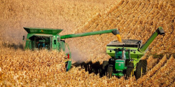 Фото: Agrobizrussia