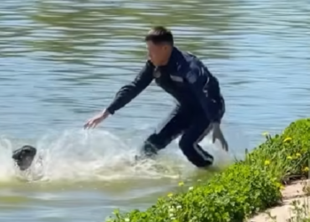 Кадр из видео