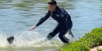 Кадр из видео