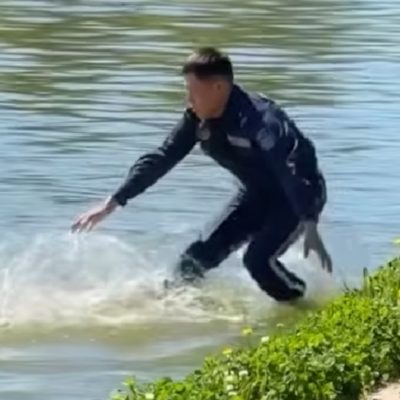 Кадр из видео