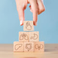 Hand arranging wood block stacking with icon internal organs