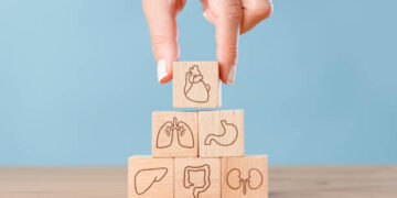 Hand arranging wood block stacking with icon internal organs