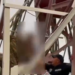 Кадр из видео