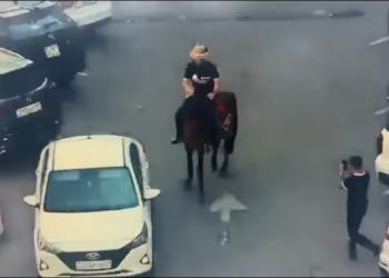 кадры из видео