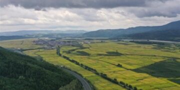 Сельскохозяйственные угодья Китая