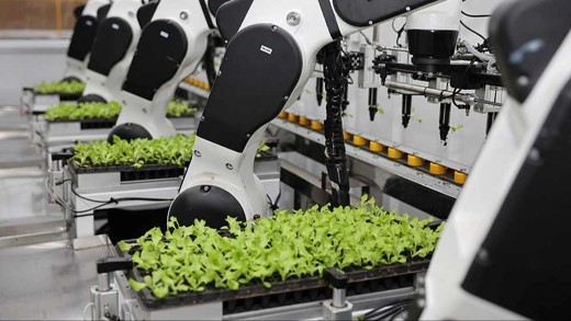 Роботизированное выращивание растений