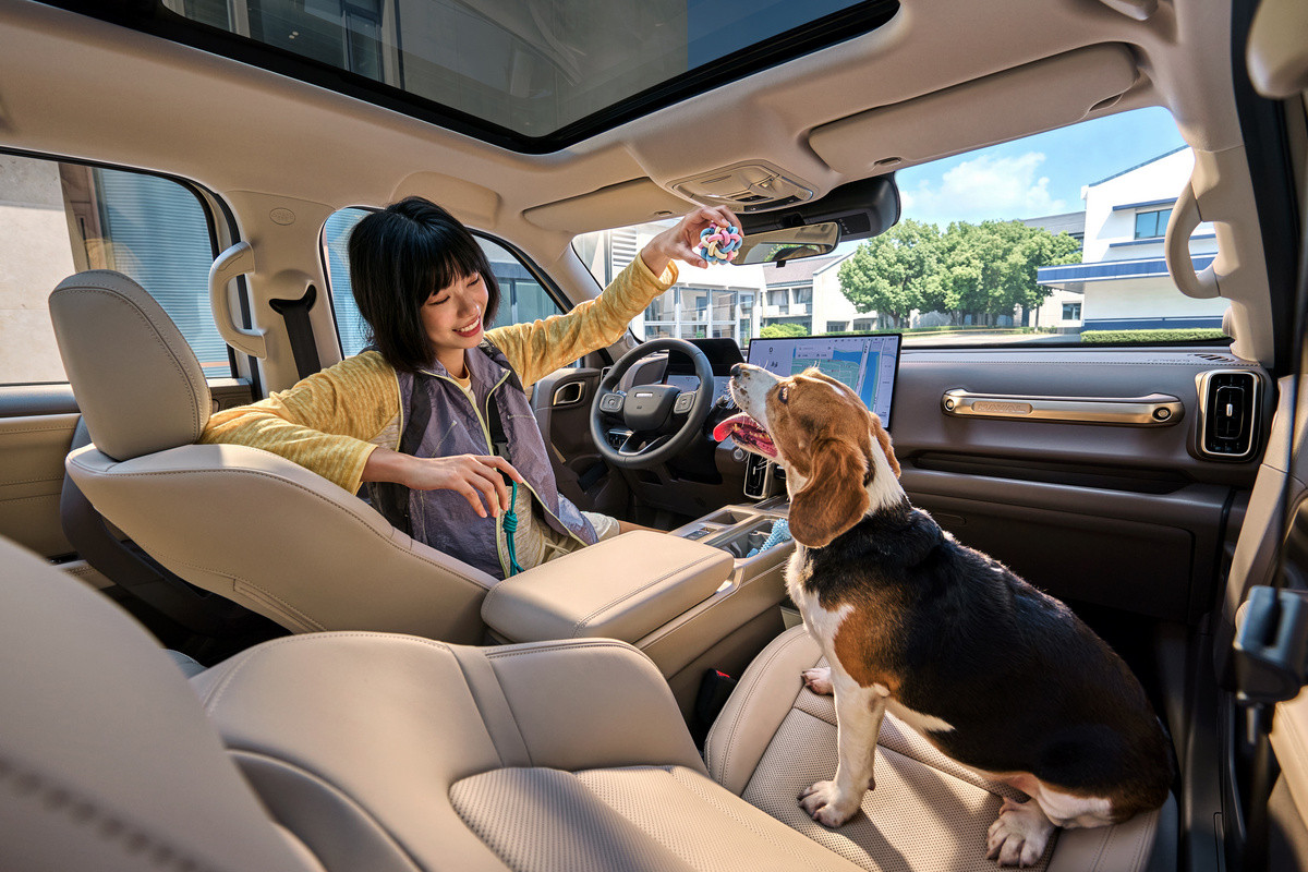 Салон Haval Big Dog HEV