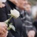 Hands, rose and a person at a funeral in a cemetery in grief while mourning loss at a memorial service. Death, flower and an adult in a suit at a graveyard in a crowd for an outdoor burial closeup