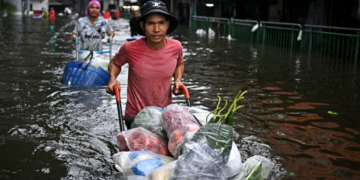 Фото: AFP via Getty Images