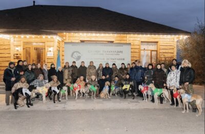 Казахские тазы испытали свои силы в охоте на зайца-русака
