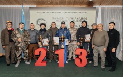 Казахские тазы испытали свои силы в охоте на зайца-русака